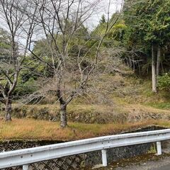 No.G639【京都府福知山市夜久野町直見】農地（田・畑）2筆あ...