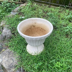 鉢木の鉢の画像