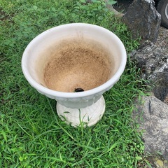鉢木の鉢の画像