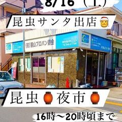 🌈昆虫くじイベント開催のお知らせ❗️  🌟8月16日(土) 🏮昆...