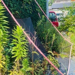 ゴルフネットの画像