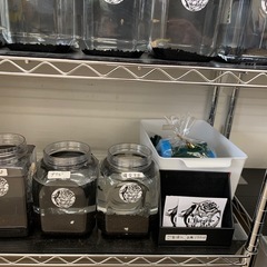 宇部新鮮館厚南店　メダカ　めだかの画像