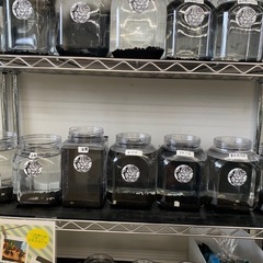 宇部新鮮館厚南店　メダカ　めだかの画像