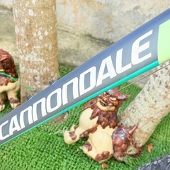 Cannondale マウンテンバイクの画像