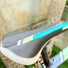 Cannondale マウンテンバイクの画像