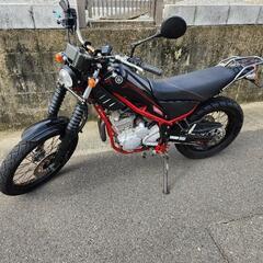 トリッカー250の画像