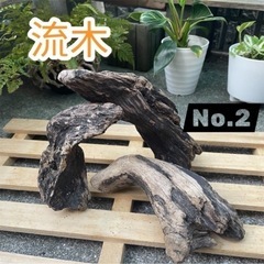 流木 アクアリウム おまとめセットNo.1、No.2、No.4、No.6、No.7の画像