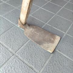 クワの画像