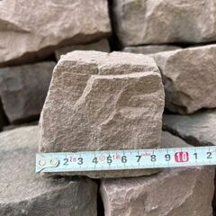 朱色　ピンコロの画像