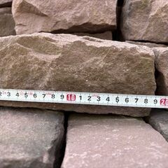 朱色　ピンコロの画像
