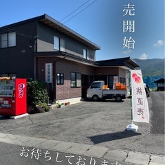 白桃直売2キロ1,500円(訳あり白桃)の画像