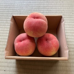 白桃直売2キロ1,500円(訳あり白桃)の画像