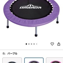 DABADA 屋内用トランポリン（大人・子ども両用）の画像