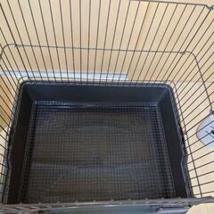 飼っていたうさぎが亡くなりました。の画像