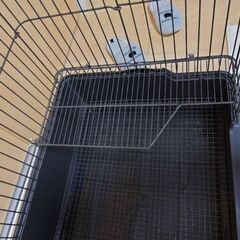 飼っていたうさぎが亡くなりました。の画像