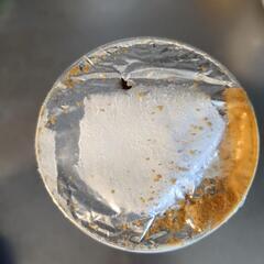 メダカの餌の画像