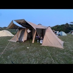 サバティカル　アルニカの画像