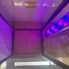 水槽3点セット　（60センチ水槽、LEDライト、ガラスカバー）の画像