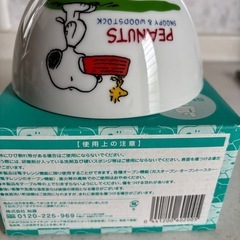 SNOOPYサラダボウル✨の画像