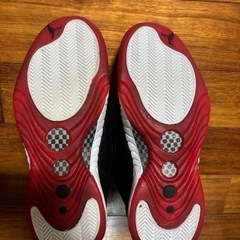NIKE エアジョーダン ジャンプマン プロ 26cmの画像