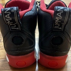NIKE エアジョーダン ジャンプマン プロ 26cmの画像