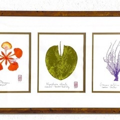 【美品】額装済みアート２点の画像
