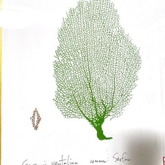 【美品】額装済みアート２点の画像