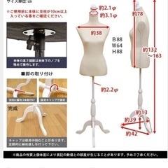 トルソー　アイボリー　組み立て式の画像