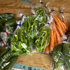 朝取立て　野菜の画像