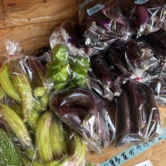 朝取立て　野菜の画像