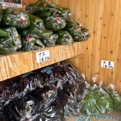 朝取立て　野菜の画像