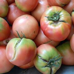 理由ありトマト🍅 10kg ④の画像