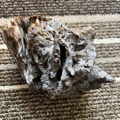 流木の画像