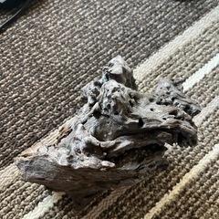 流木の画像