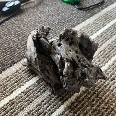 流木の画像