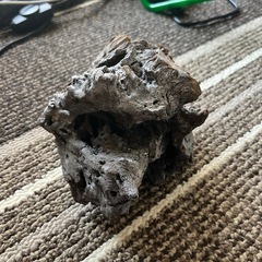 流木の画像