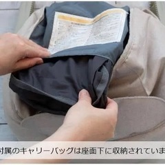 イングリッシーナ　ファストの画像