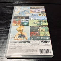 ゼルダの伝説 ティアーズ オブ キングダムの画像