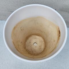 9号 園芸 ガーデニング 植木鉢 プランターの画像