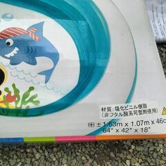 INTEXプールの画像