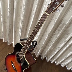 エレアコ  ジャンク　Sヤイリの画像