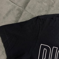 dickiesの画像