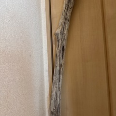約140cm流木の画像