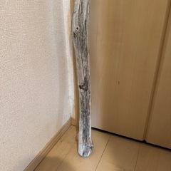 約140cm流木の画像