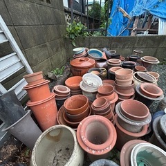 植木鉢、売り切りの画像