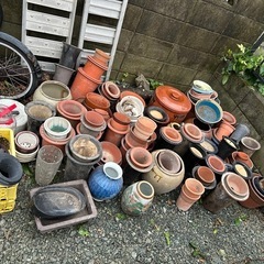植木鉢、売り切りの画像