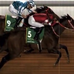 【競馬好き集まれ！】予想会・情報交換メンバー募集🐎