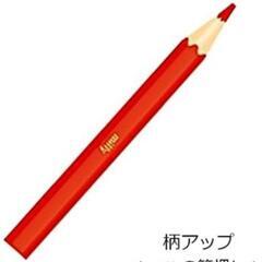 新品未使用！ミッフィー ミニ色鉛筆 12色の画像