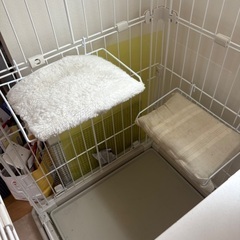 猫ちゃん　ケージの画像