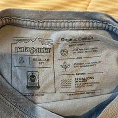 Patagonia Tシャツ　レディースの画像